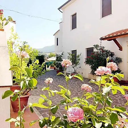 Boni Cerri 2*